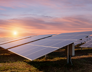Wondering how long your solar panels will last?Find out here