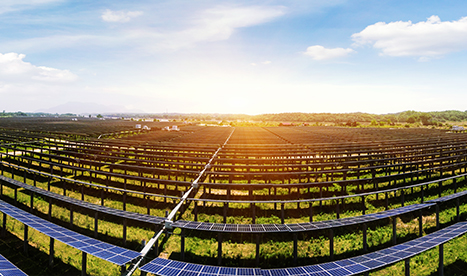 Renewable energy will become the hot spot of investment in the global energy field this year